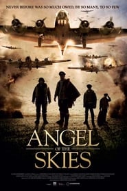 Angel-of-the-Skies-2013